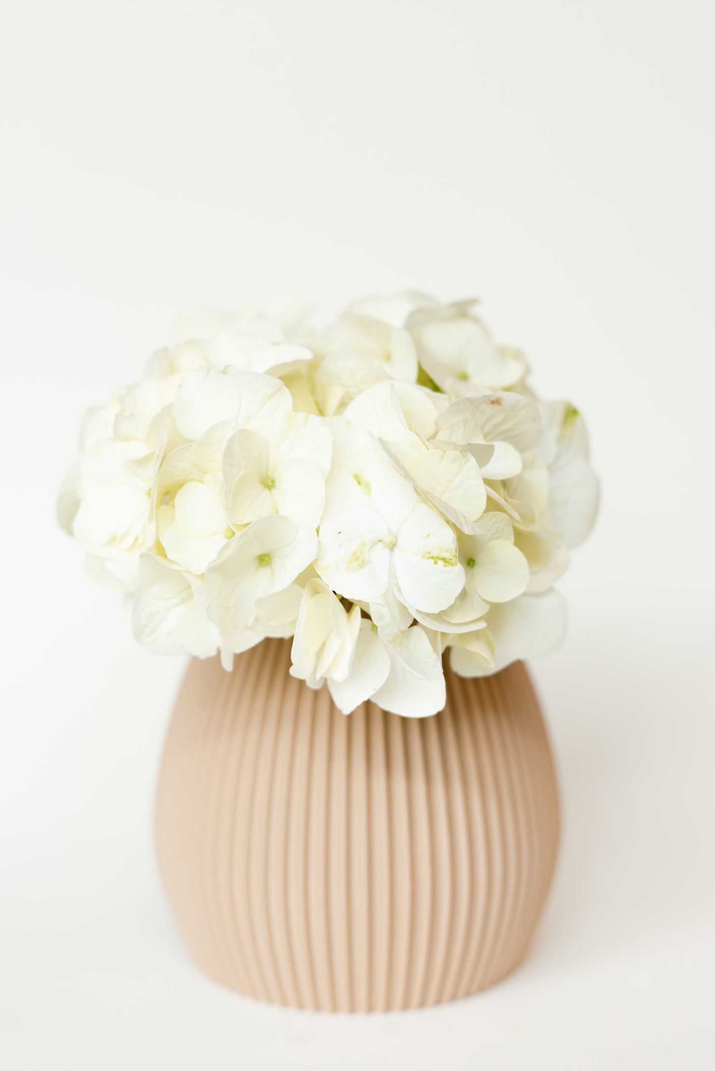 VASE – 3D-gedruckte Designvase mit herausnehmbarem Innenglas