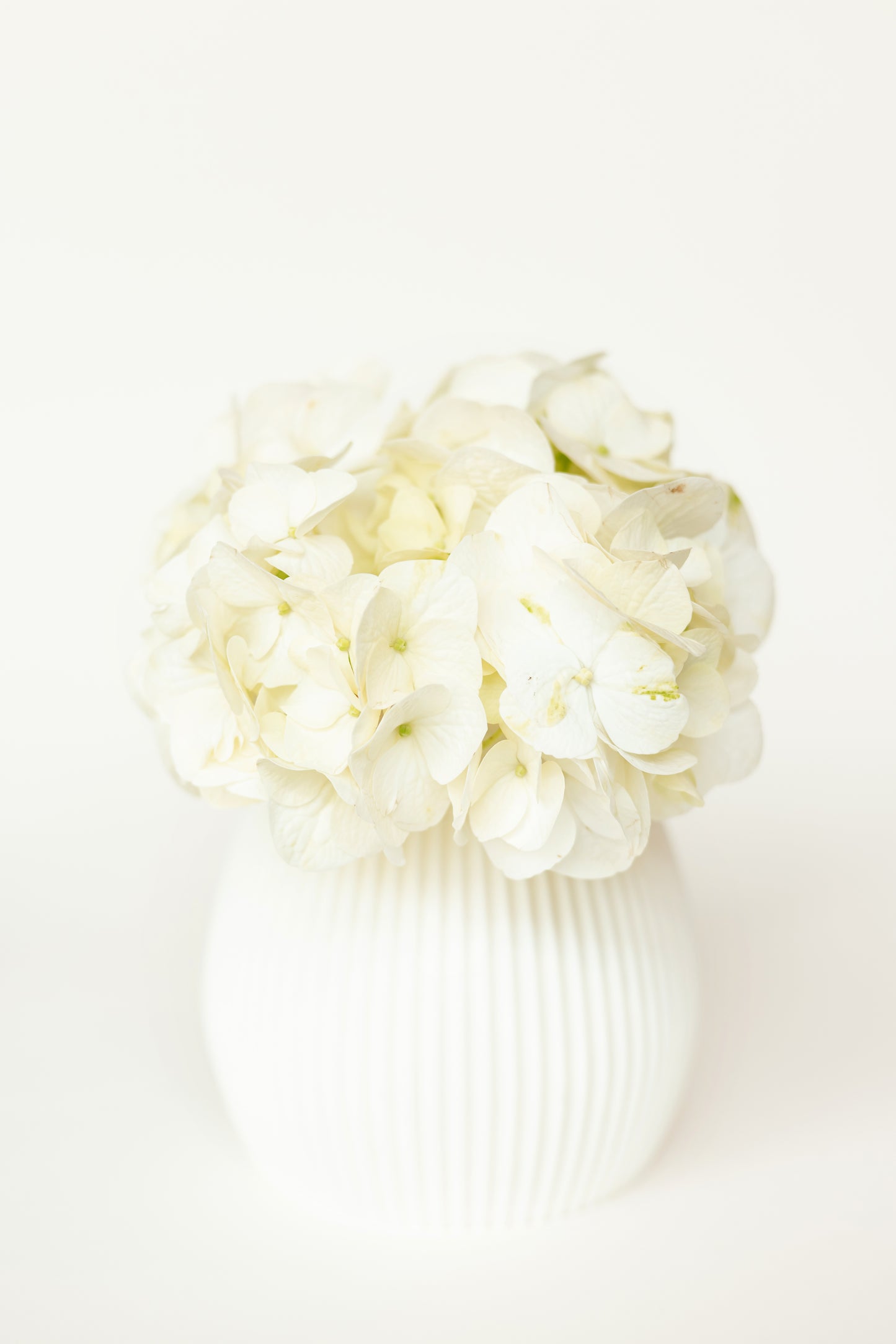 VASE – 3D-gedruckte Designvase mit herausnehmbarem Innenglas
