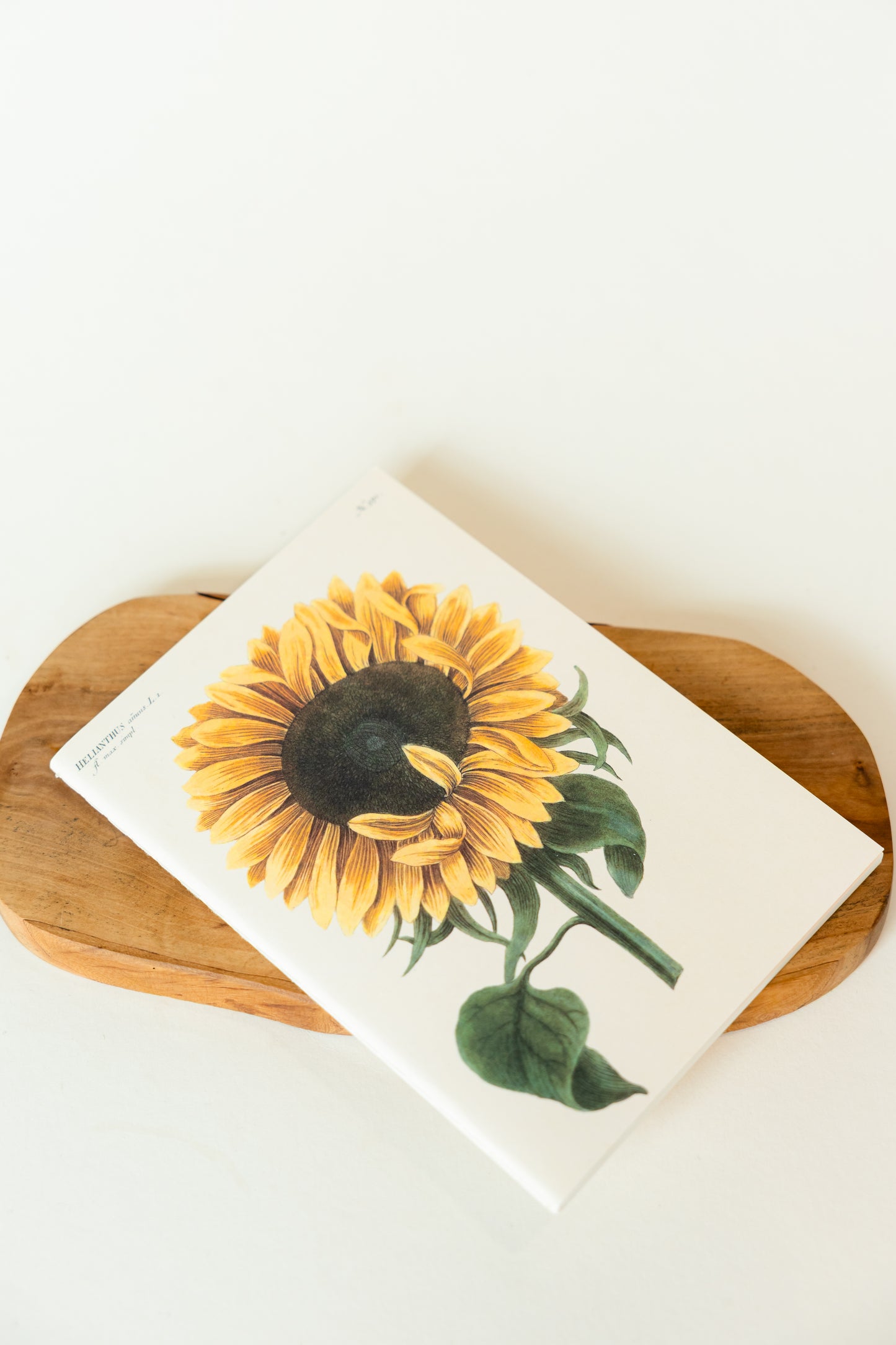 VINTAGE FLORA Notebook – Botanisches Notizbuch