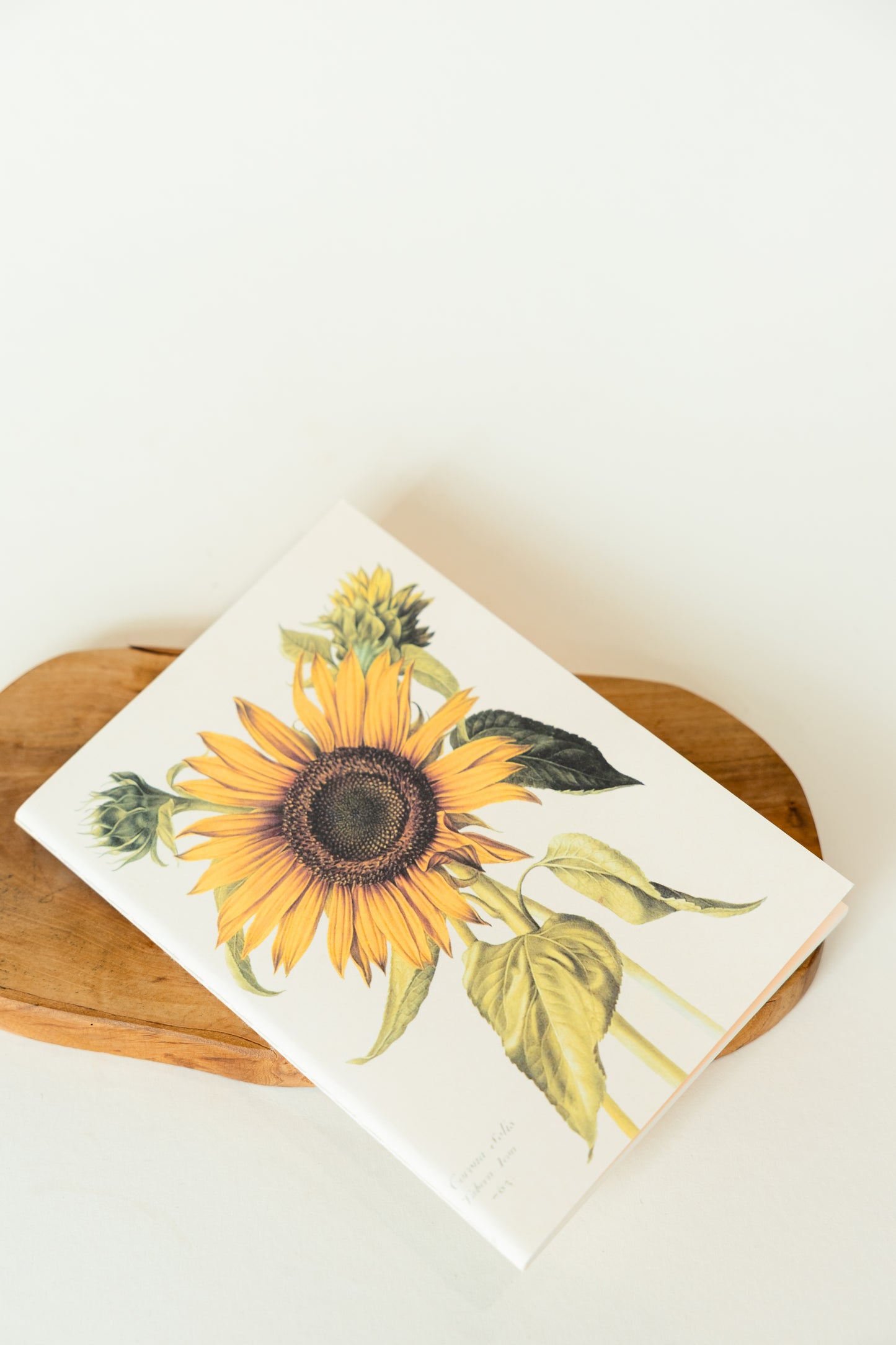 VINTAGE FLORA Notebook – Botanisches Notizbuch
