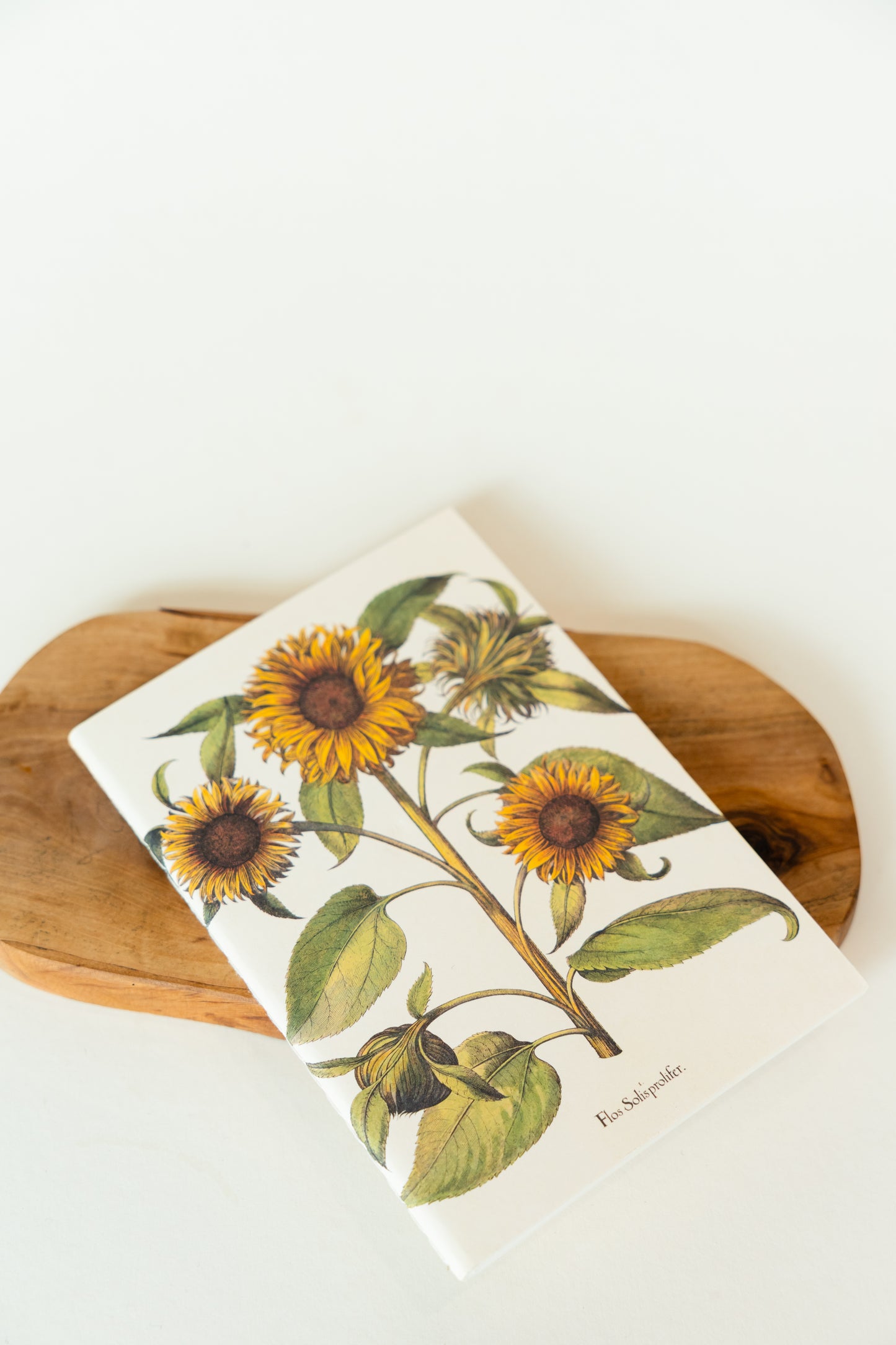 VINTAGE FLORA Notebook – Botanisches Notizbuch