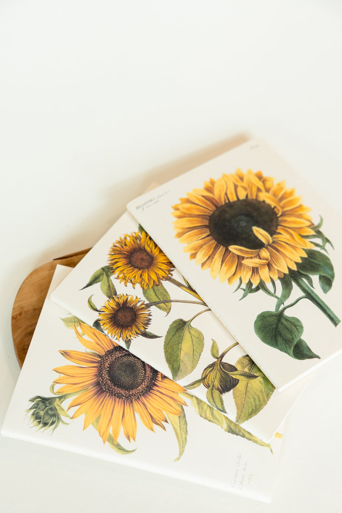 VINTAGE FLORA Notebook – Botanisches Notizbuch