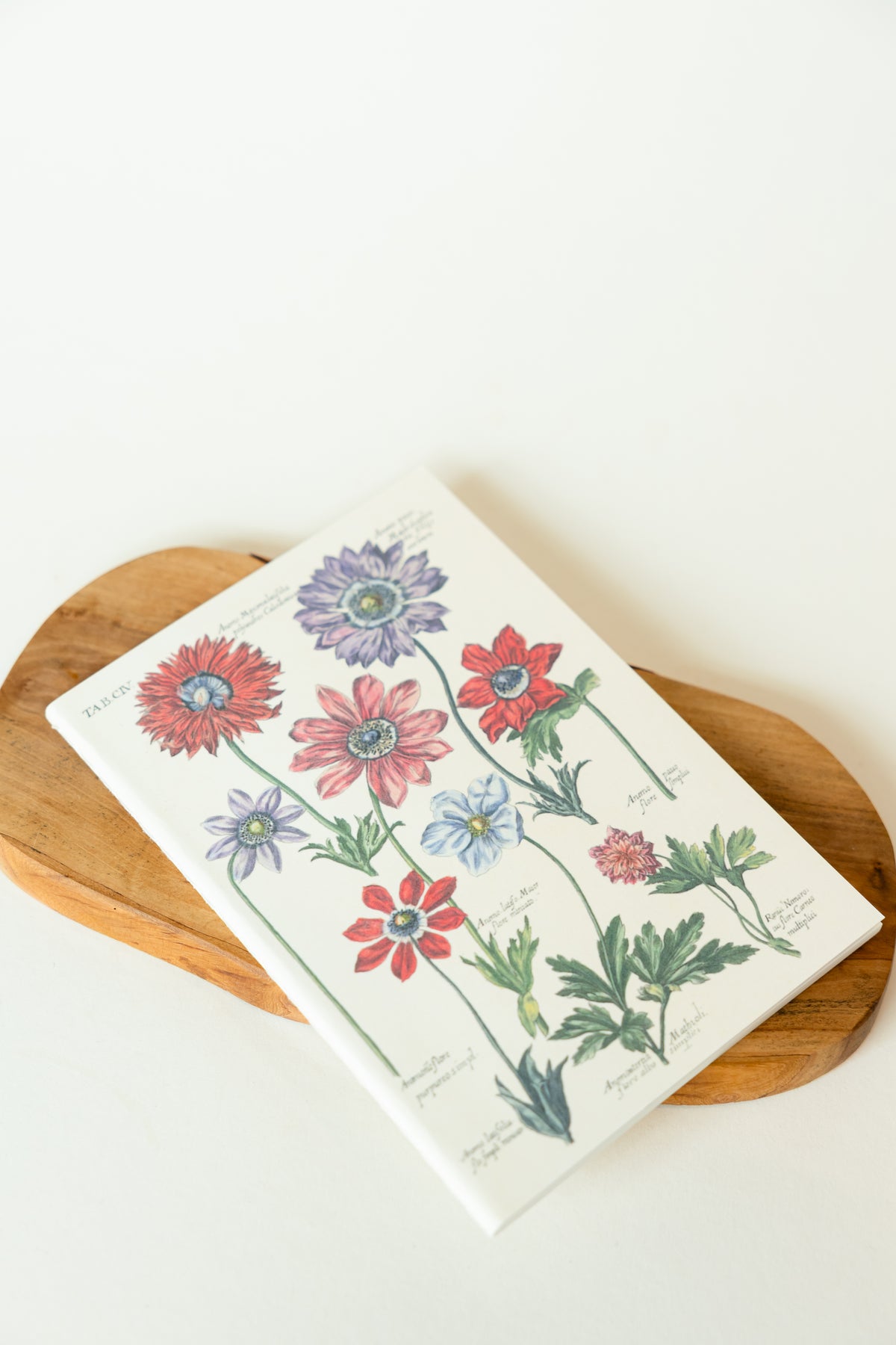 VINTAGE FLORA Notebook – Botanisches Notizbuch