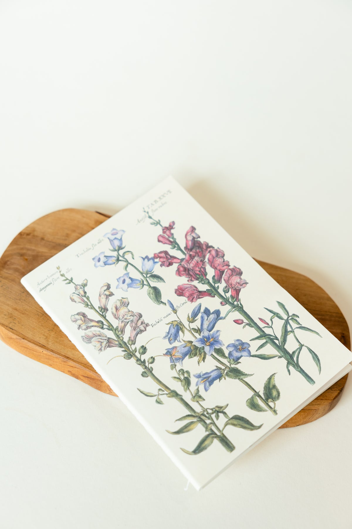 VINTAGE FLORA Notebook – Botanisches Notizbuch