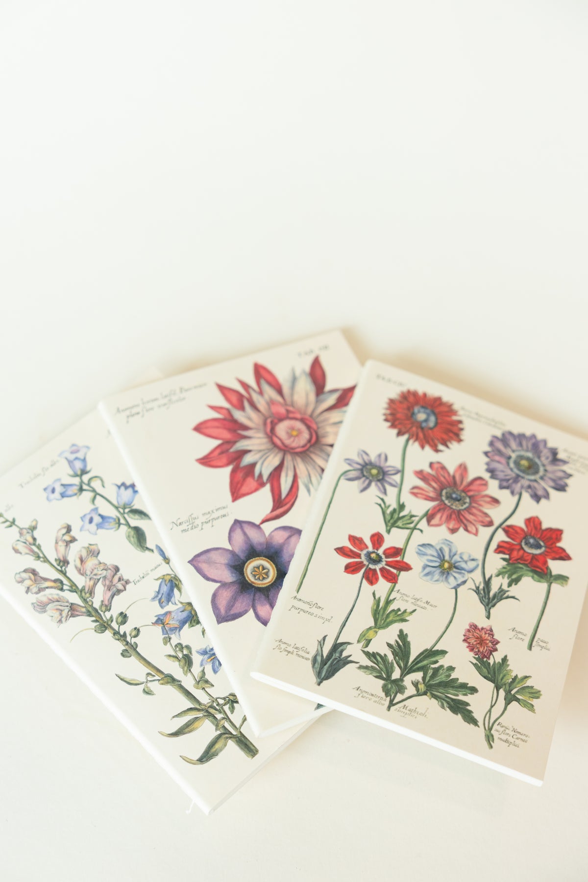 VINTAGE FLORA Notebook – Botanisches Notizbuch