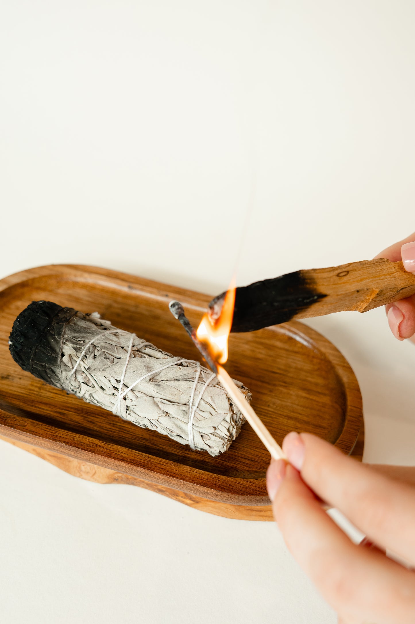 PALO SANTO – Heiliges Räucherholz aus Südamerika